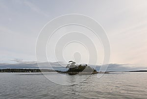 Lone Island Located in Casco Bay Maine