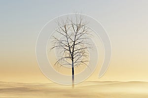 Lone leafless tree on foggy terrain. 3d Illustration