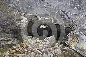 Lone Male Caver Inside Large Lava Tube Cave