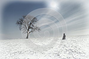 Lone man and lonely tree