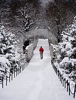 La neve un camminatore 