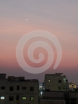 The Lone Moon photo