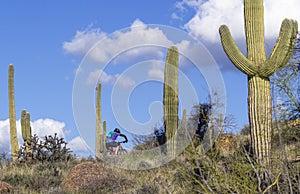 Lone Mountain Biker Riding Up a Trail In Arizona