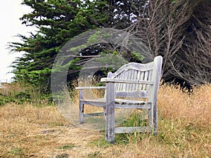 Lone park bench