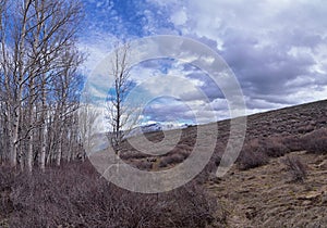 Lone Peak landscape view spring from Mount Mahogany trail, Wasatch Front Rocky Mountains, by Orem and Draper, Utah. United States.