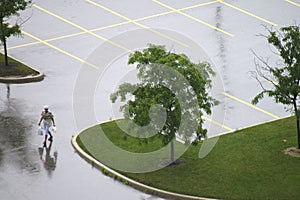 Solitario a pie en vacío húmedo estacionamiento alce 