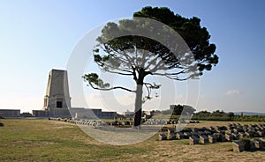 Lone Pine Cemetery - Gallipoli