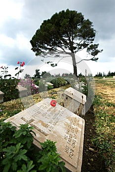 The Lone Pine Cemetery on the Gallipoli Peninsula in Turkey.