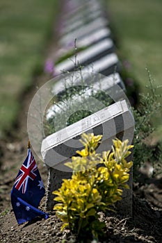 Lone Pine Cemetery at Turkey.