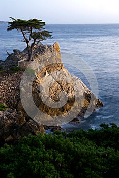 Lone Pine Rock at Pebble Beach