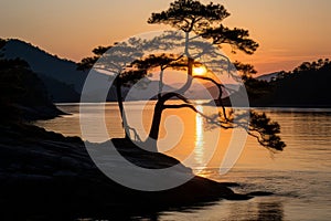 a lone pine tree stands on a rocky outcropping at the edge of a lake at sunset