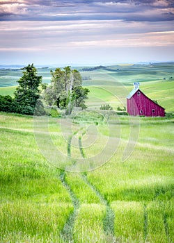 Lone red barn lost in the hills of the Palouse