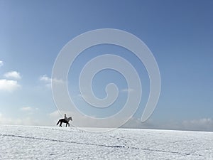Lone rider on a black horse