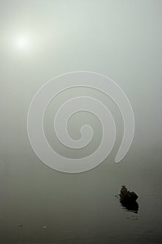 Lone row boat coming out of the mist in Hoi An Vietnam