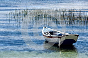 Lone row boat on lake titicaca amidst palm reeds