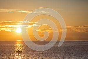 Lone Rower on the Salish Sea