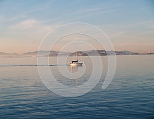 Lone Sailboat Motoring On San Francisco Bay