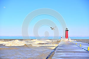 A lone Sea Gull Checks out the Large Lake Michigan Waves