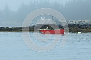 A lone seagull and red rowboat