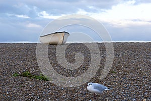 Lone seagull and small fishing boat on shingle beach in mid winter