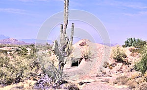 A Lone Sentinel Guarding The Entrance To A Mine