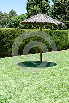 Lone shade umbrella on a green lawn