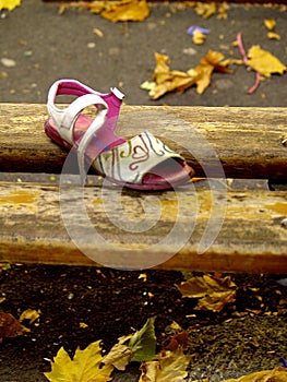 Lone shoe among autumn leaves of a lost child.