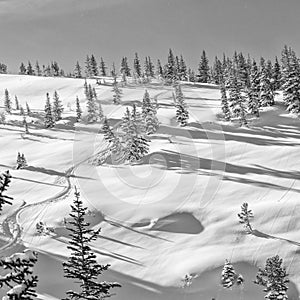 Lone ski track on Cardiac ridge Wyoming.