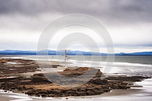 A lone Snag at North Cove Bay