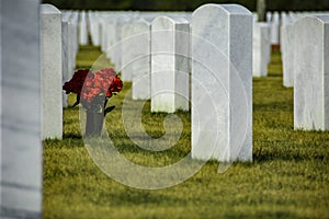 Lone soldier unmarked grave cemetery photo