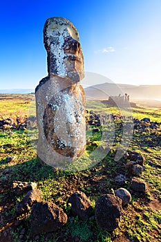 Lone standing moai in bright sunshine in Easter Island