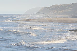 Lone Surfer on rough sea