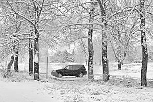 Lone SUV in Snow Storm