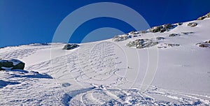 Lone tourist skis down an ungroomed slope full of ski and snowboard tracks. photo