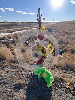 Lone toys memorial on highway in Parker Colorado