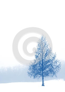 Lone tree against the snowy landscape