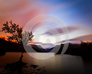 Lone tree on calm, tranquil lake at Sunset.