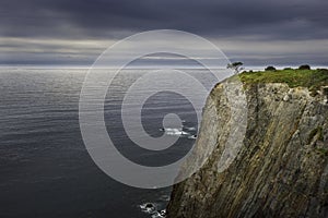 Lone tree on a cliff during a storm in Spain