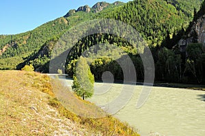 A lone tree on a gentle slope of a high bank of a beautiful river flowing at the foot of a mountain range overgrown with dense