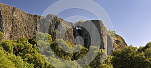 Lone tree grows among sheer cliffs