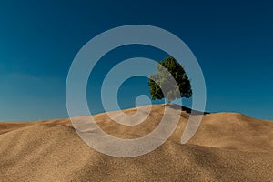 a lone tree on a hill of sand under a blue sky with a few clouds in the background, 3D illustration