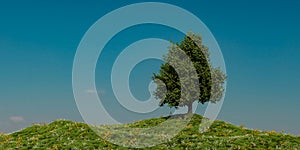 a lone tree on a hill under a blue sky,3D illustration