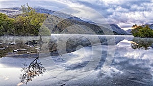 The Lone Tree - Llanberis North Wales UK