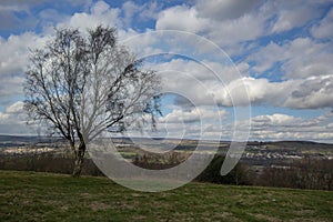 Lone tree looks over wide-open countryside