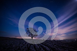 The lone tree at Malham by night