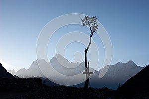 Lone tree silhouette in Himalaya mountains, Nepal
