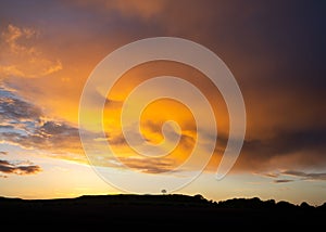 Lone tree standing on hill silhouette with dramatic orange sky sunset storm above