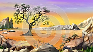 Lone Tree Under Yellow Sky illustration