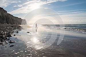 Lone Wanderer in the Coastal Radiance