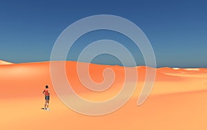 Lone wanderer in a desert